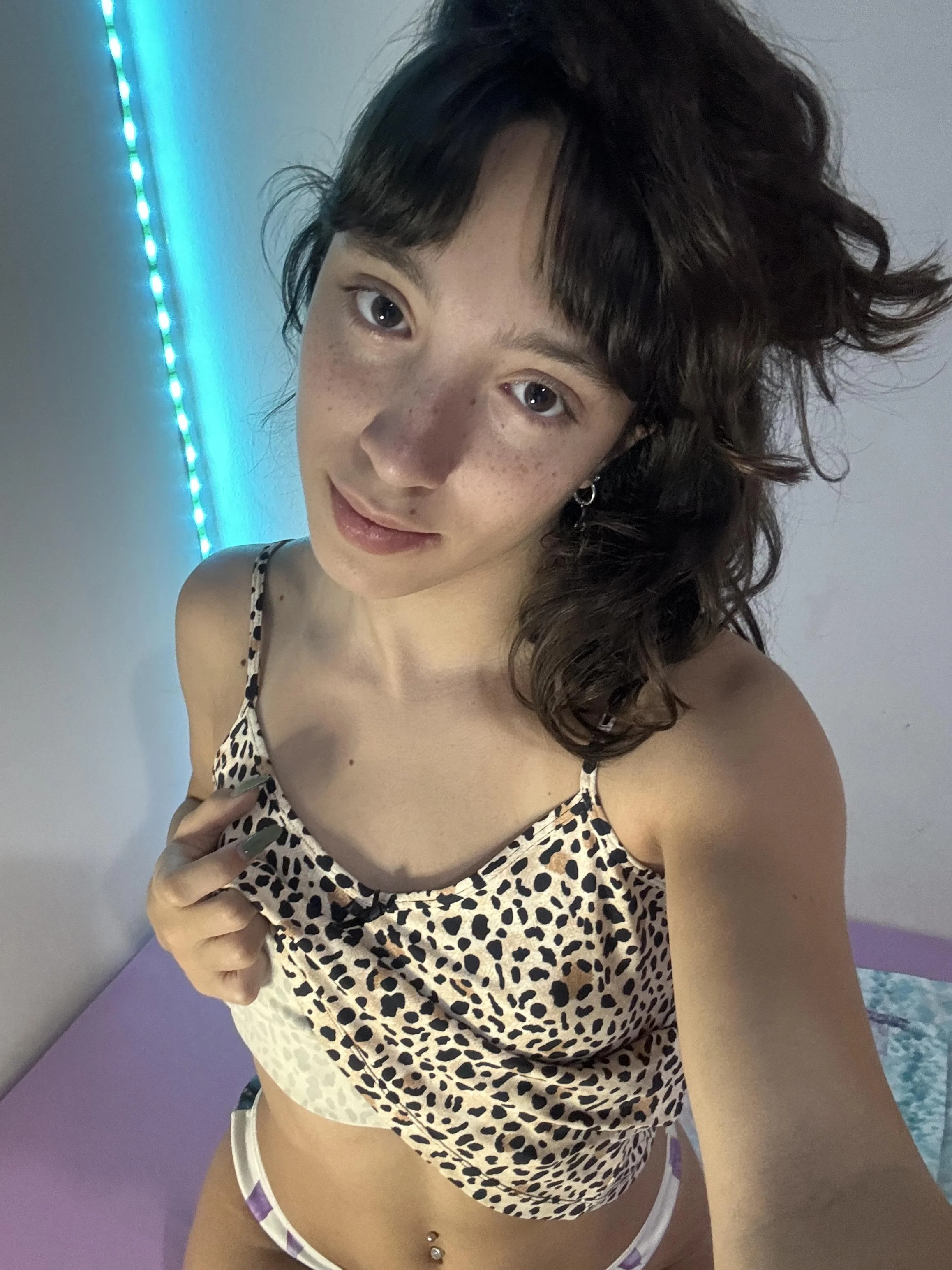 sugar spice and more spice picture 1 of 1