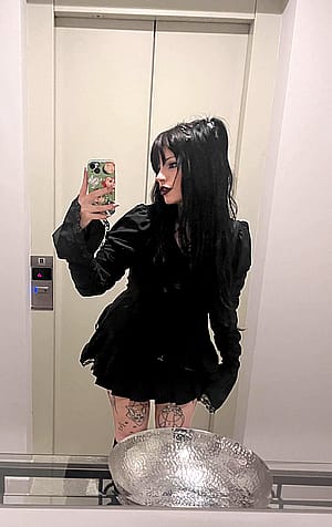 My definition of fancy.'