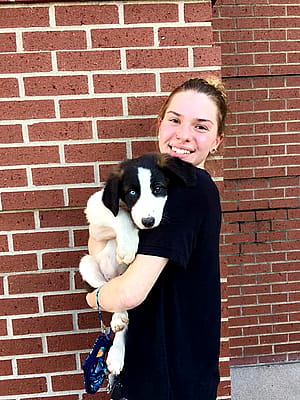 Do you think the puppy adds to the cuteness factor or am I enough?'