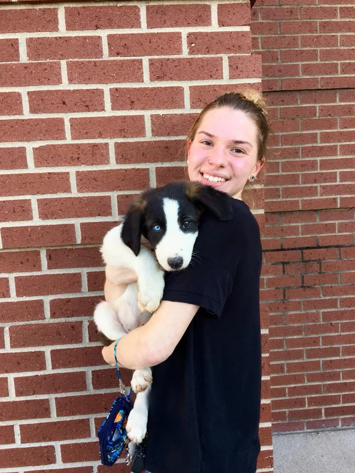 Do you think the puppy adds to the cuteness factor or am I enough? picture 1 of 1